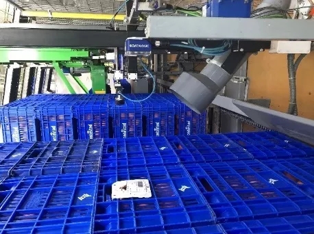 1636002813112234.jpg 640.webp.jpg